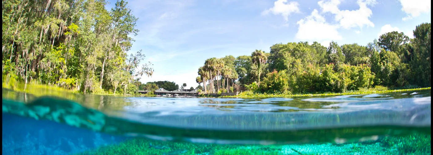 Silver Springs State Park in Ocala